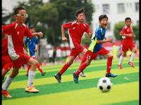 韩职焦点战：江原FC与浦项制铁的生死对决，谁能脱颖而出？