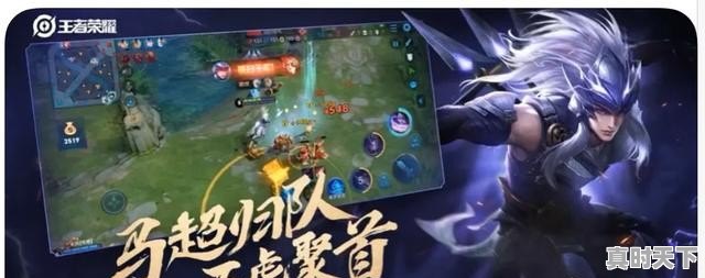 布泽尔家族次子留校博弈：是明智规划还是豪赌未来？